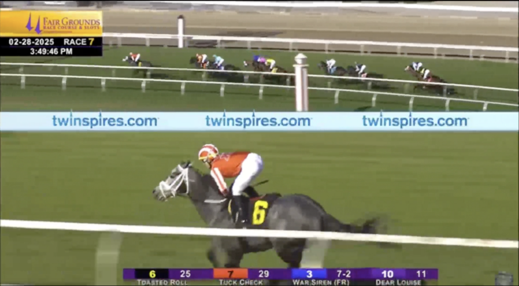 Toasted Roll leading the field